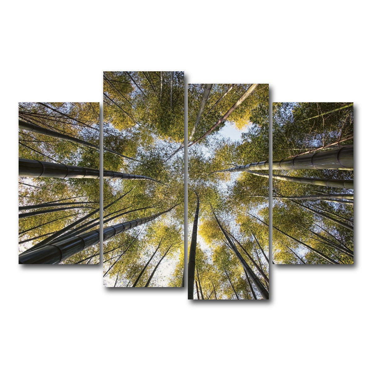 AUTO-MOCKUP WHITE | Bamboo Grove | 4 Piece | Gallery Wrap Canvas | group=4_short