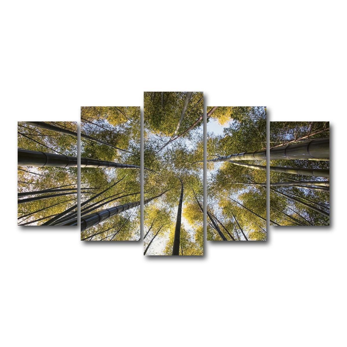 AUTO-MOCKUP WHITE | Bamboo Grove | 5 Piece | Gallery Wrap Canvas | group=5_normal