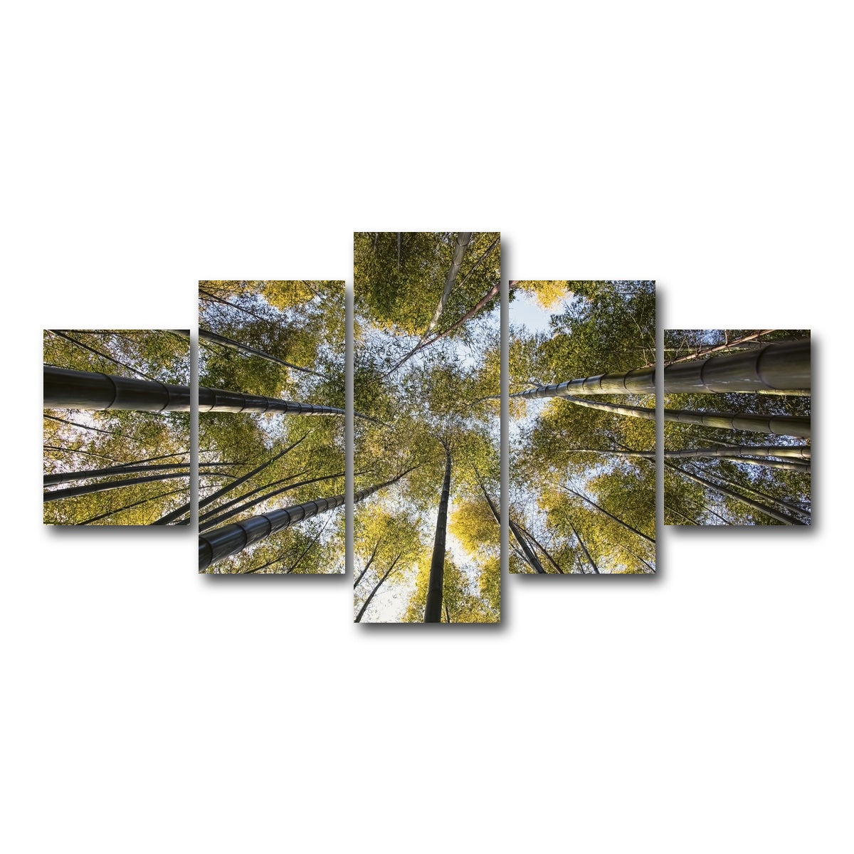 AUTO-MOCKUP WHITE | Bamboo Grove | 5 Piece | Gallery Wrap Canvas | group=5_short
