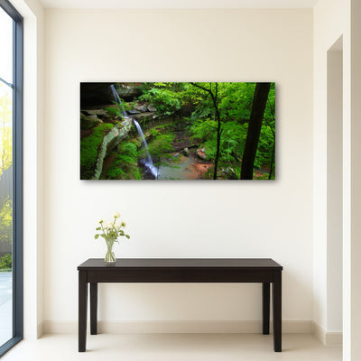 AUTO-MOCKUP ROOM | Bankhead National Forest