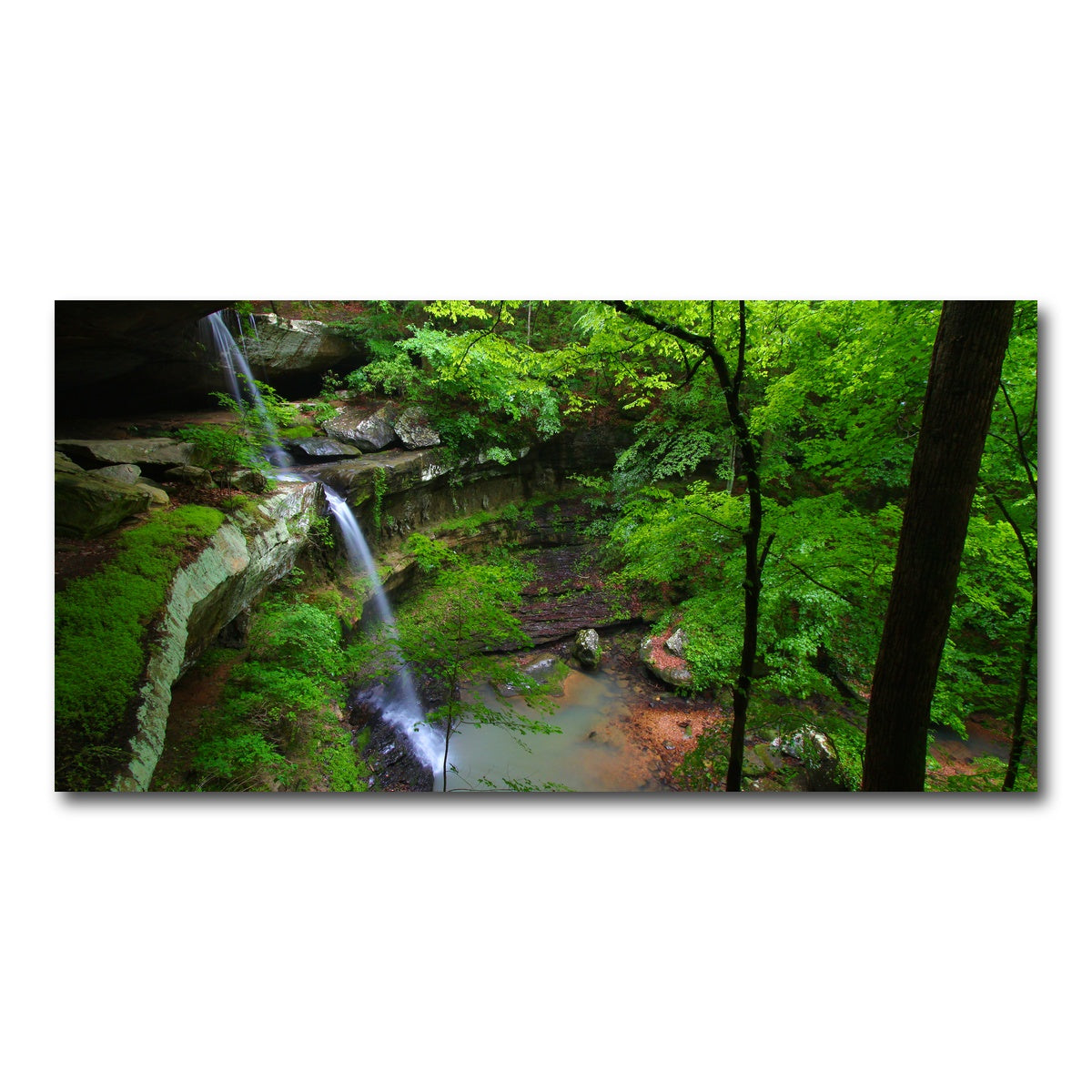 AUTO-MOCKUP WHITE | Bankhead National Forest | 1 Piece | Gallery Wrap Canvas | group=2x1