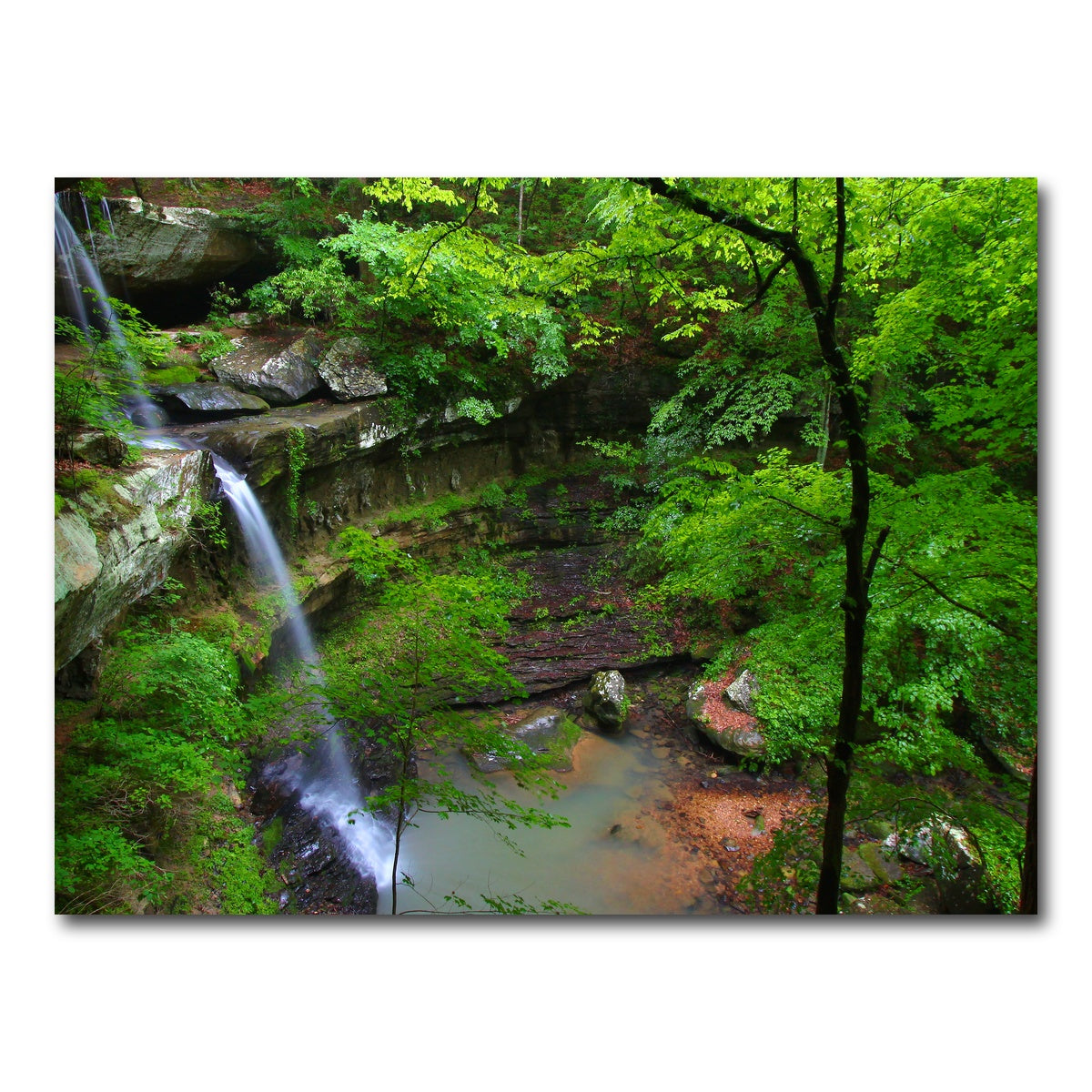 AUTO-MOCKUP WHITE | Bankhead National Forest | 1 Piece | Gallery Wrap Canvas | group=4x3