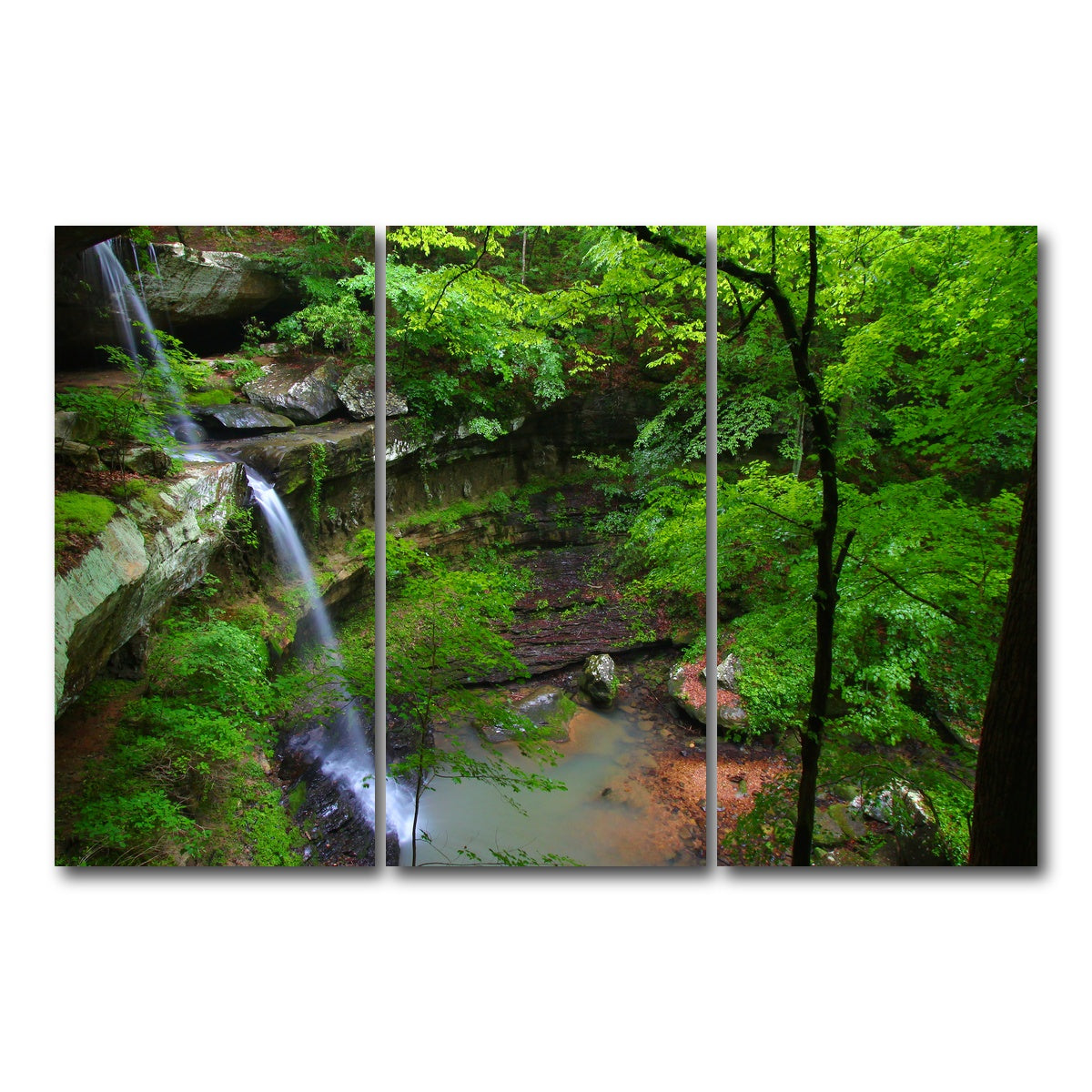 AUTO-MOCKUP WHITE | Bankhead National Forest | 3 Piece | Gallery Wrap Canvas | group=12x24