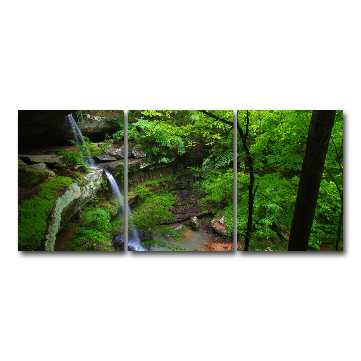 AUTO-MOCKUP WHITE | Bankhead National Forest | 3 Piece | Gallery Wrap Canvas | group=18x24