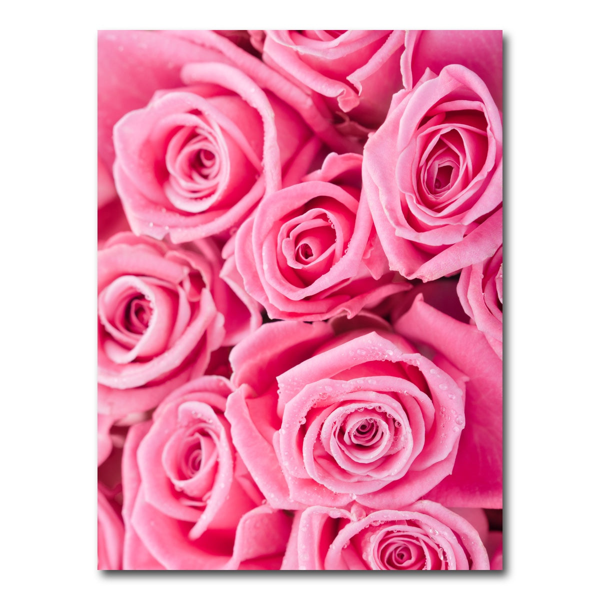 AUTO-MOCKUP WHITE | Batch of Pink Roses | 1 Piece | Gallery Wrap Canvas | group=3x4