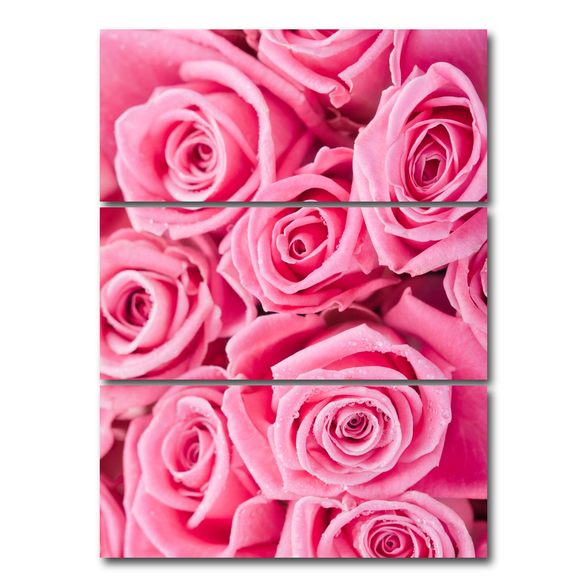 AUTO-MOCKUP WHITE | Batch of Pink Roses | 3 Piece | Gallery Wrap Canvas | group=8x18_stacked