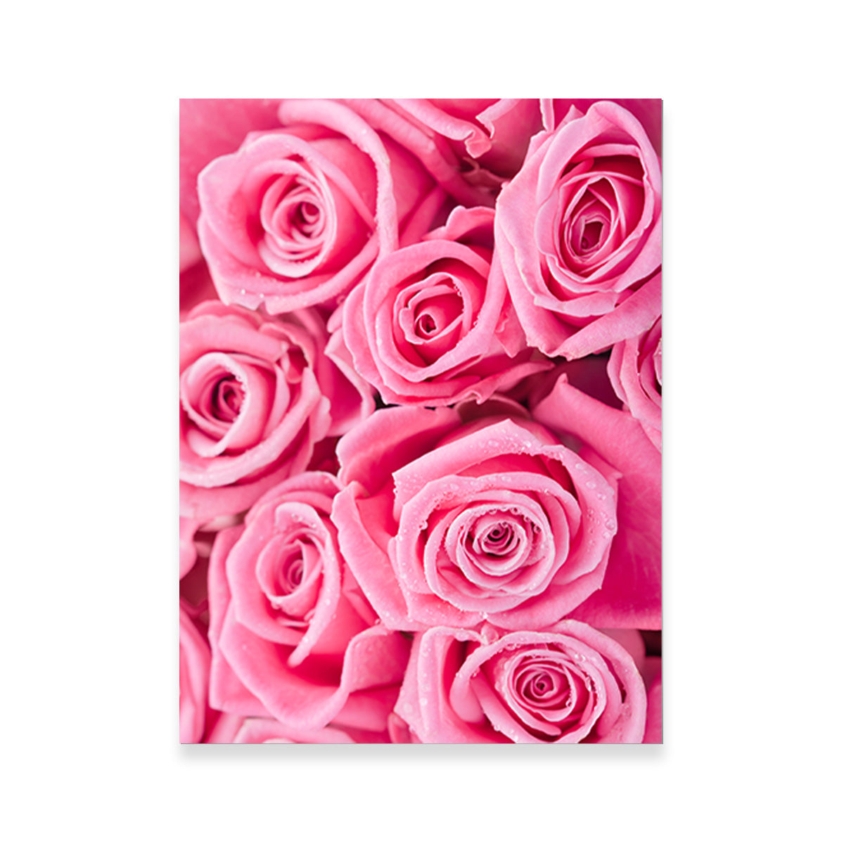 Batch of Pink Roses Wall Art