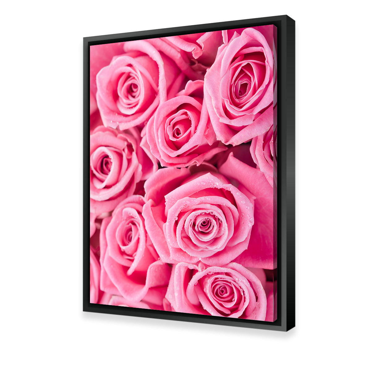 Batch of Pink Roses Wall Art