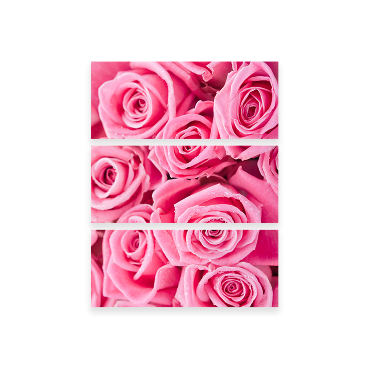 Batch of Pink Roses Wall Art