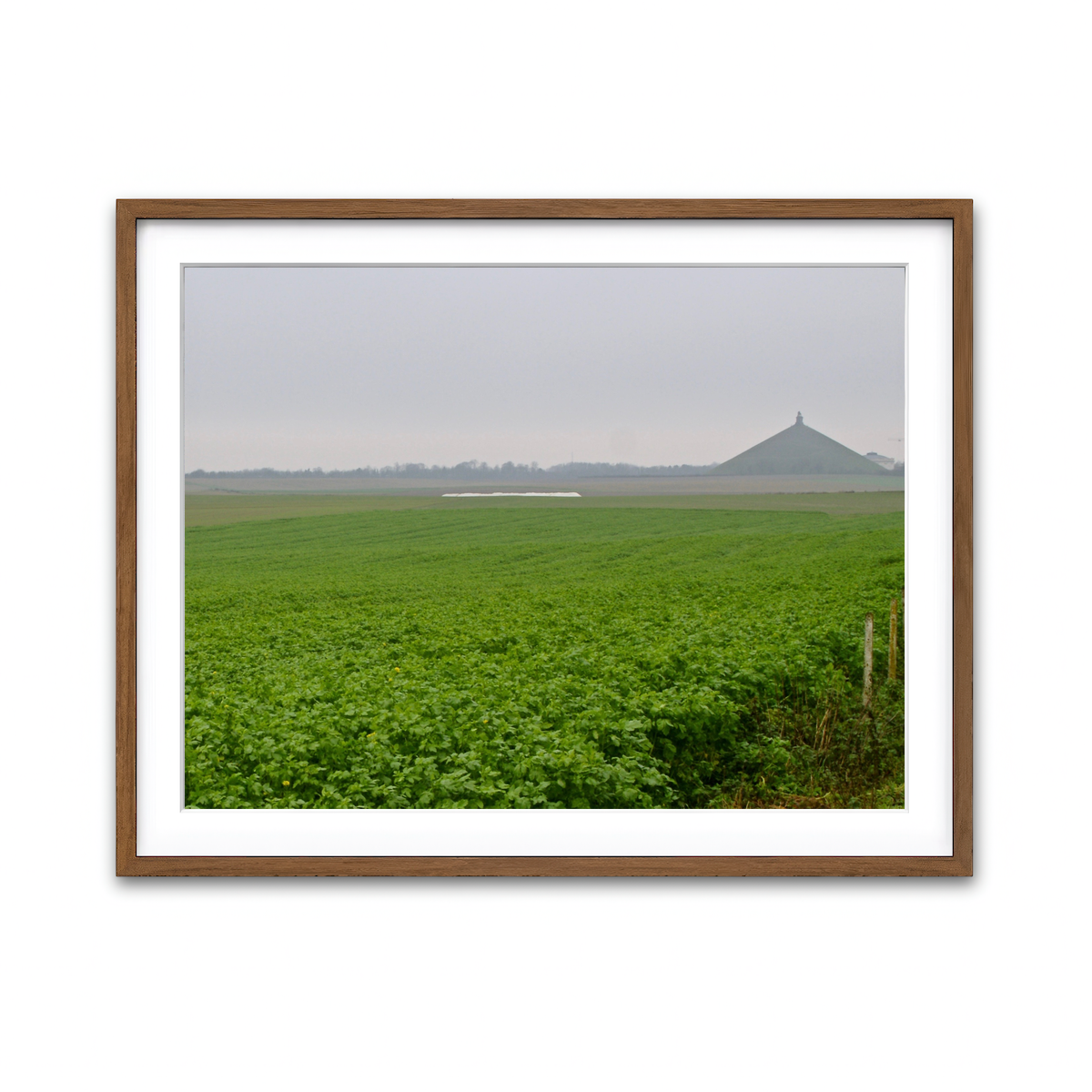 Framed Print 4x3 Walnut