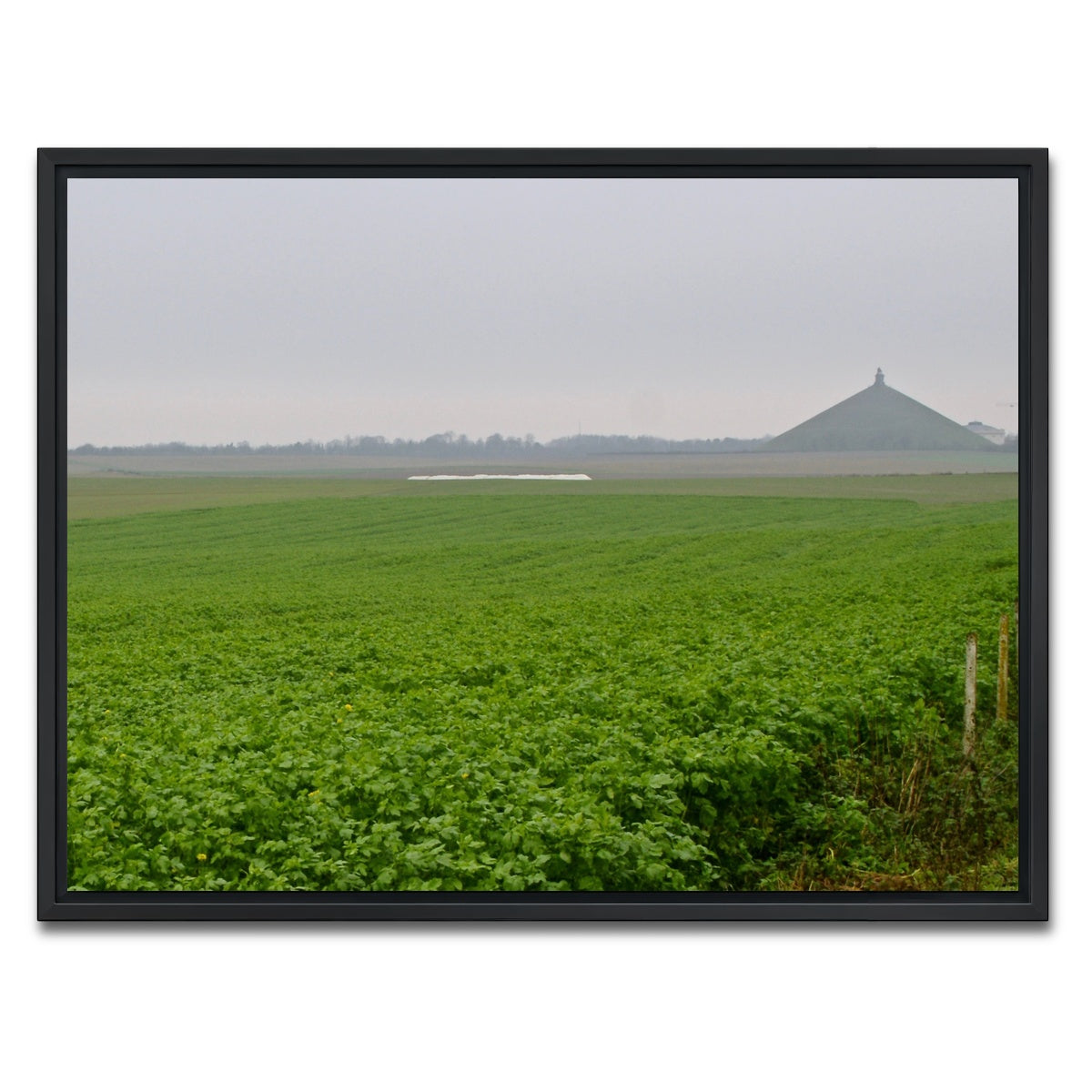 AUTO-MOCKUP WHITE | Battle of Waterloo | 1 Piece | Black Framed Canvas | group=4x3