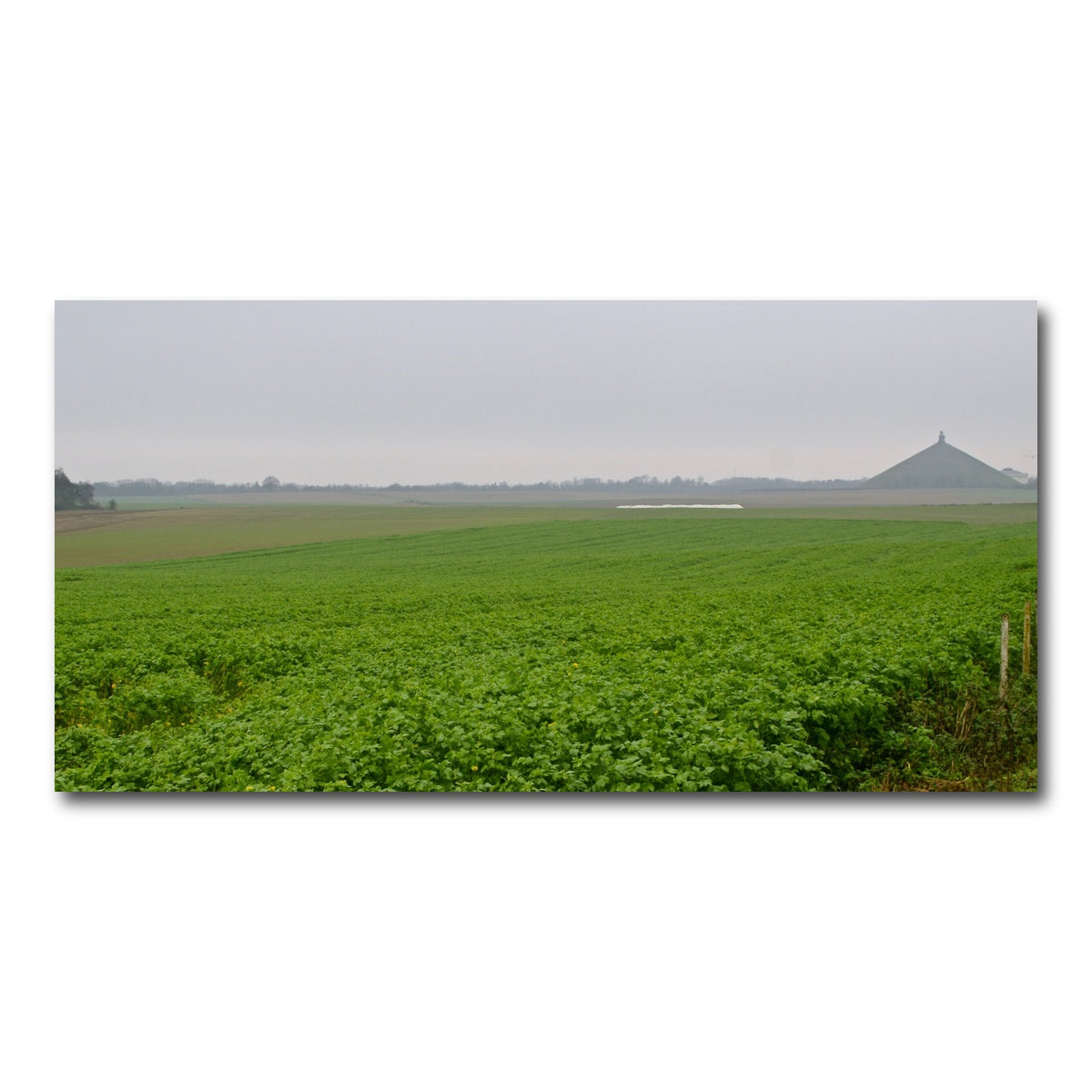 AUTO-MOCKUP WHITE | Battle of Waterloo | 1 Piece | Gallery Wrap Canvas | group=2x1