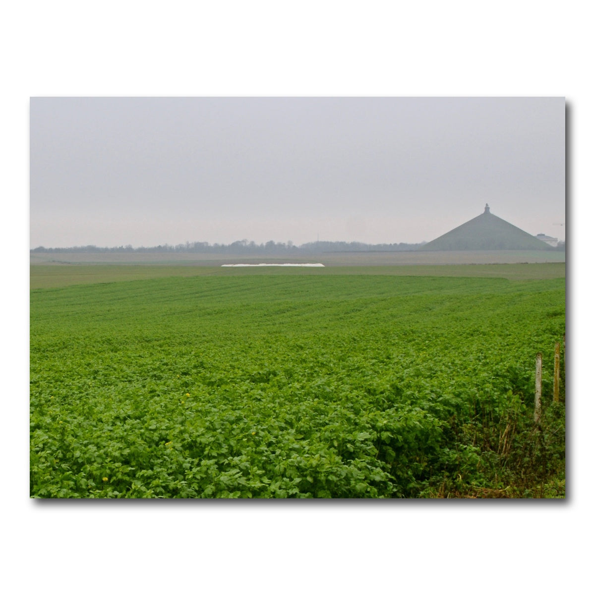AUTO-MOCKUP WHITE | Battle of Waterloo | 1 Piece | Gallery Wrap Canvas | group=4x3