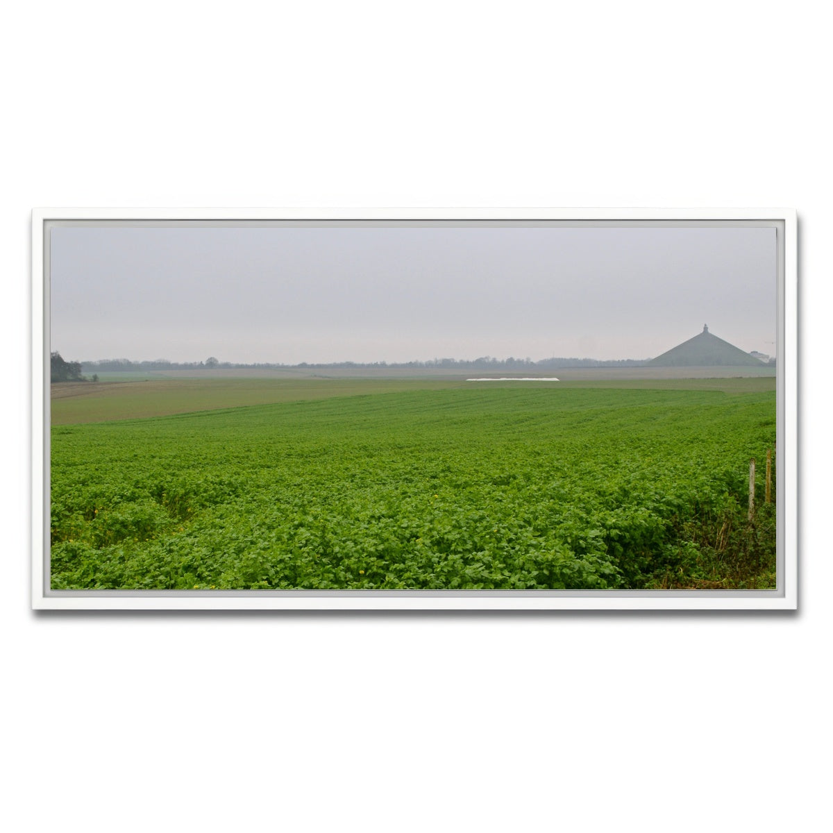 AUTO-MOCKUP WHITE | Battle of Waterloo | 1 Piece | White Framed Canvas | group=2x1