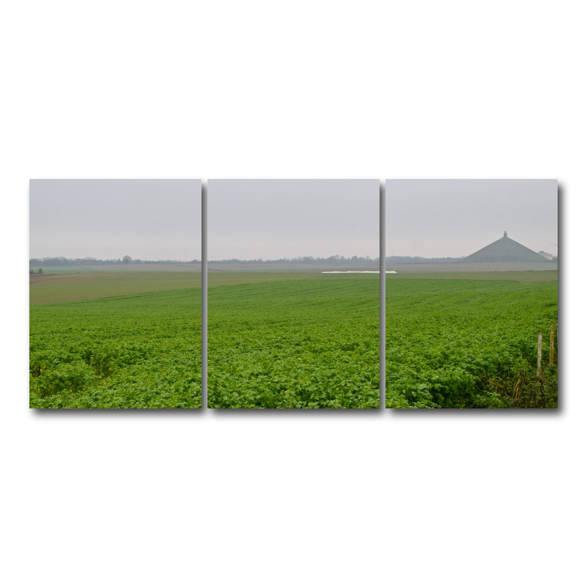 AUTO-MOCKUP WHITE | Battle of Waterloo | 3 Piece | Gallery Wrap Canvas | group=18x24