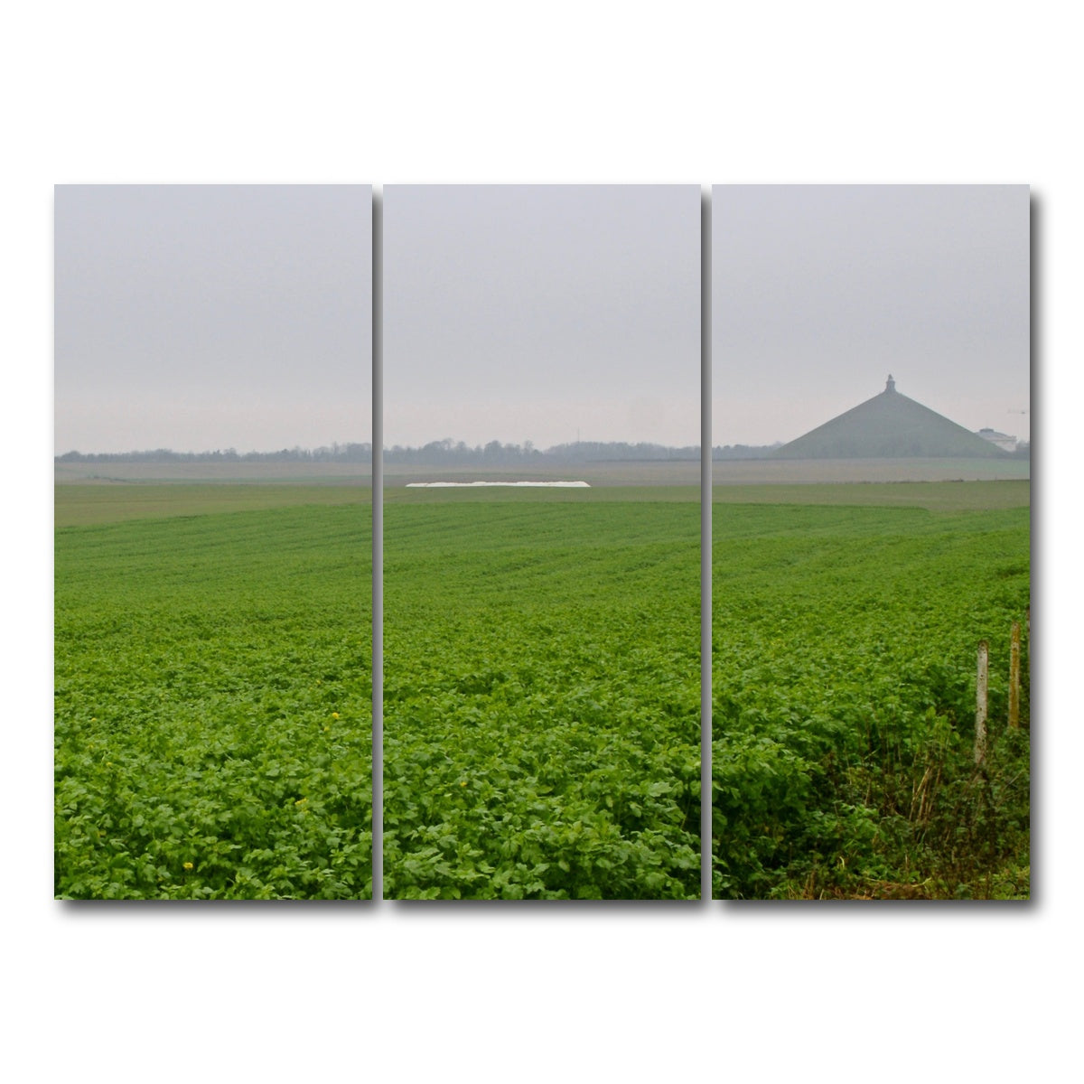 AUTO-MOCKUP WHITE | Battle of Waterloo | 3 Piece | Gallery Wrap Canvas | group=8x18