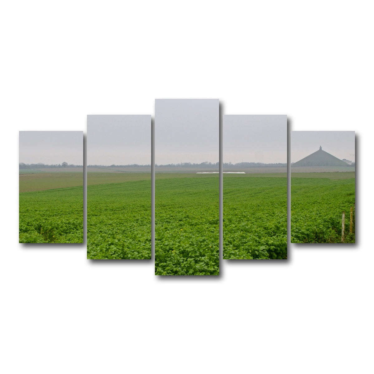 AUTO-MOCKUP WHITE | Battle of Waterloo | 5 Piece | Gallery Wrap Canvas | group=5_normal