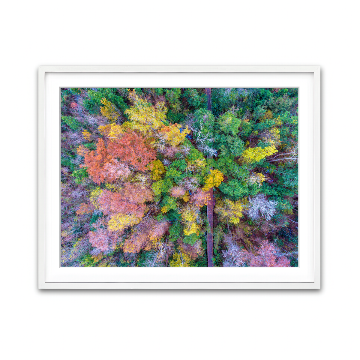 Framed Print 4x3 White