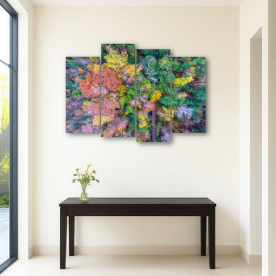 AUTO-MOCKUP ROOM | Bayfront Park nature boardwalk from above