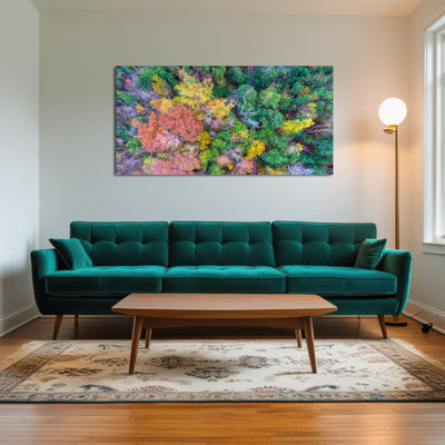 AUTO-MOCKUP ROOM | Bayfront Park nature boardwalk from above