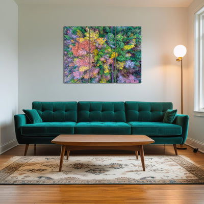 AUTO-MOCKUP ROOM | Bayfront Park nature boardwalk from above