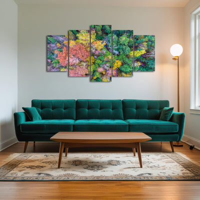 AUTO-MOCKUP ROOM | Bayfront Park nature boardwalk from above