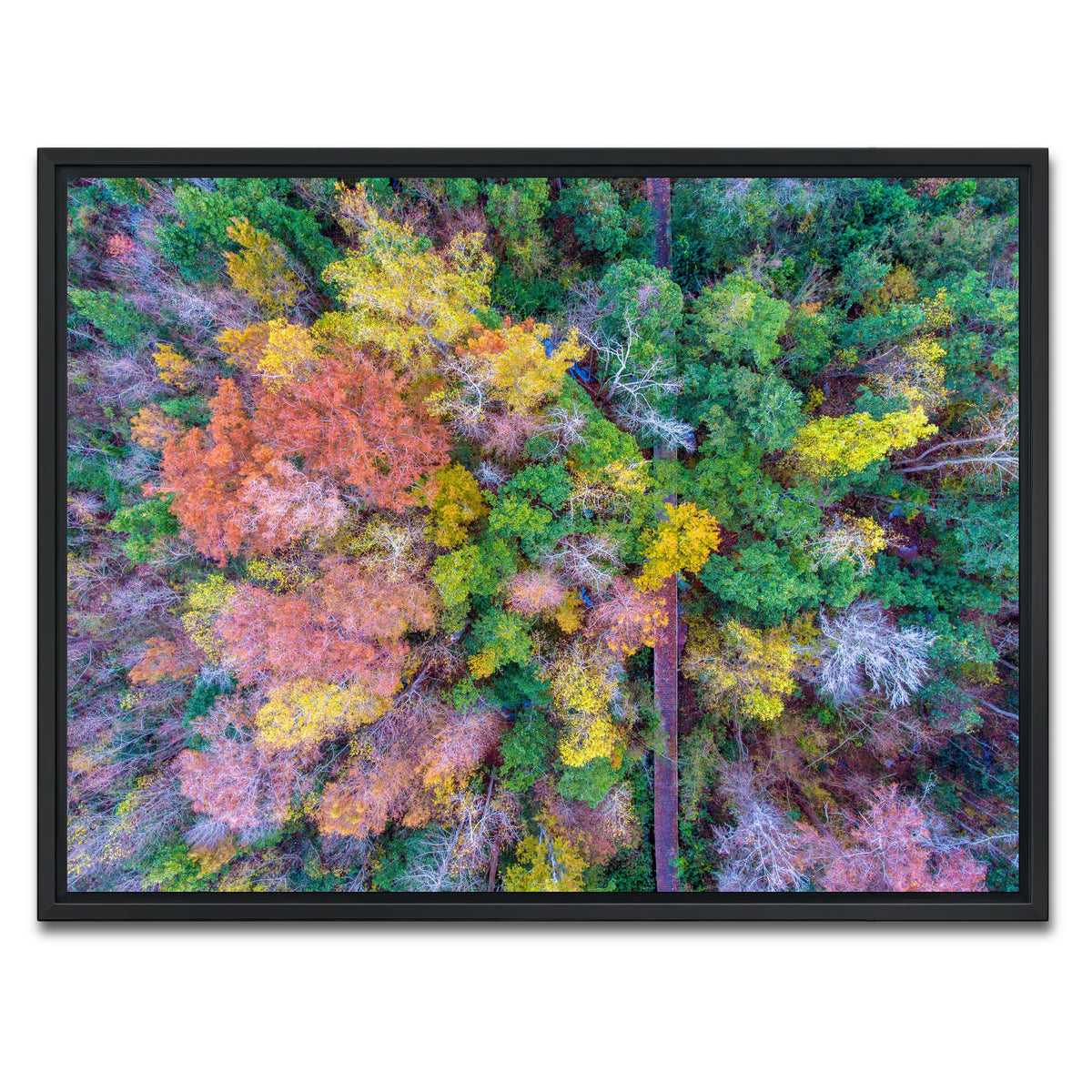 AUTO-MOCKUP WHITE | Bayfront Park nature boardwalk from above | 1 Piece | Black Framed Canvas | group=4x3