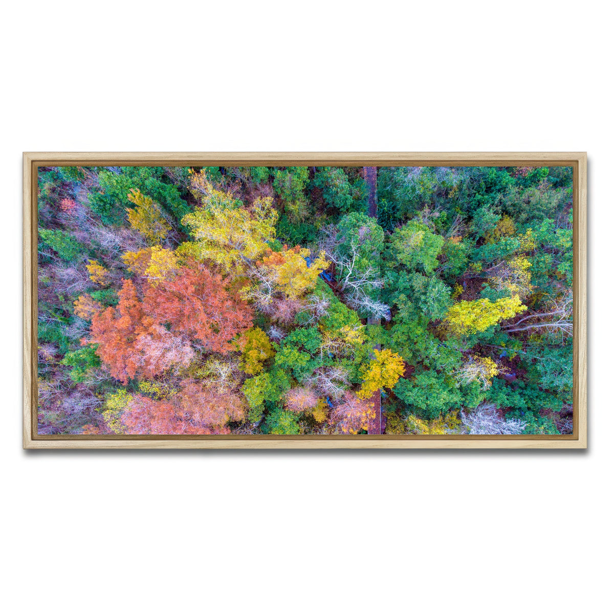 AUTO-MOCKUP WHITE | Bayfront Park nature boardwalk from above | 1 Piece | Natural Framed Canvas | group=2x1