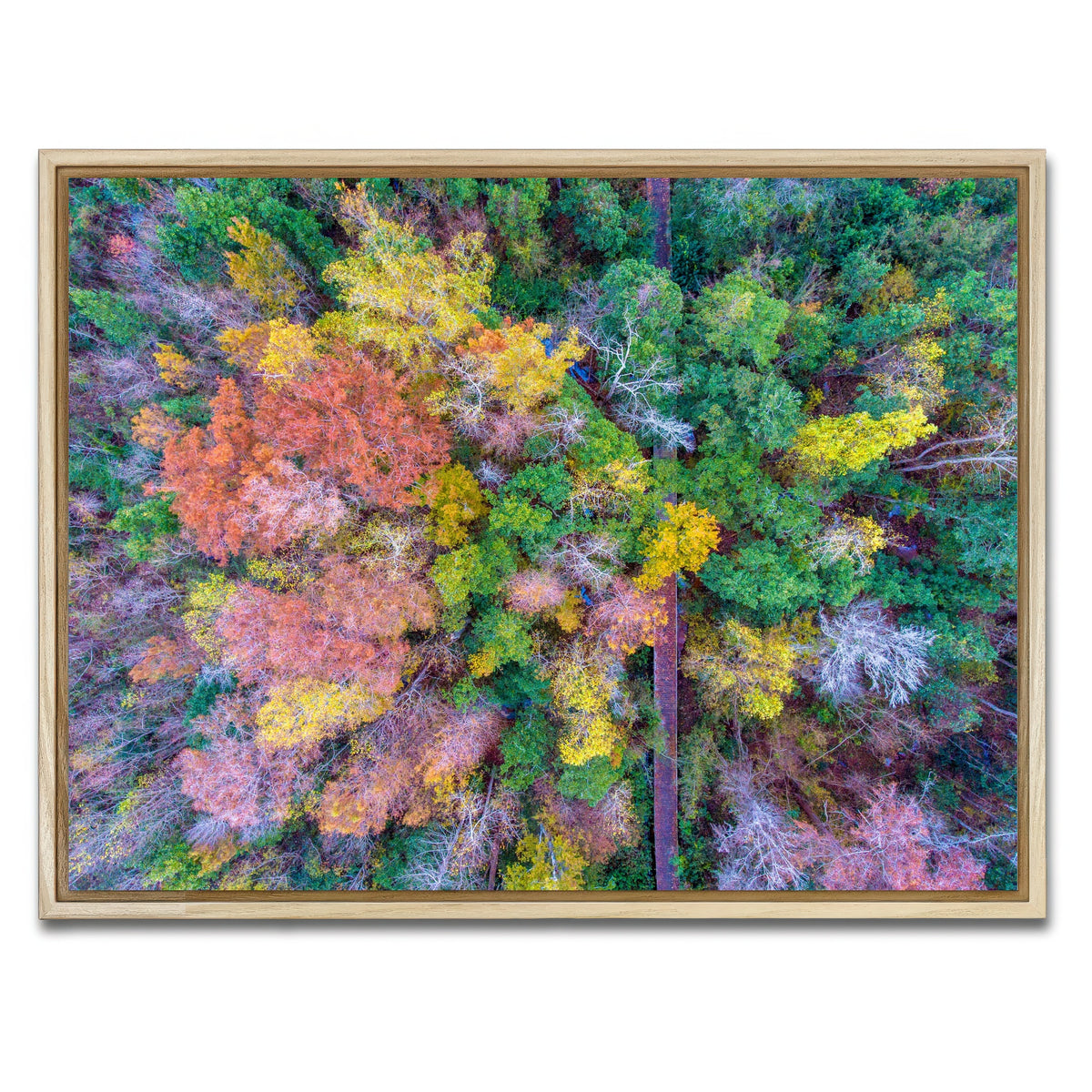 AUTO-MOCKUP WHITE | Bayfront Park nature boardwalk from above | 1 Piece | Natural Framed Canvas | group=4x3