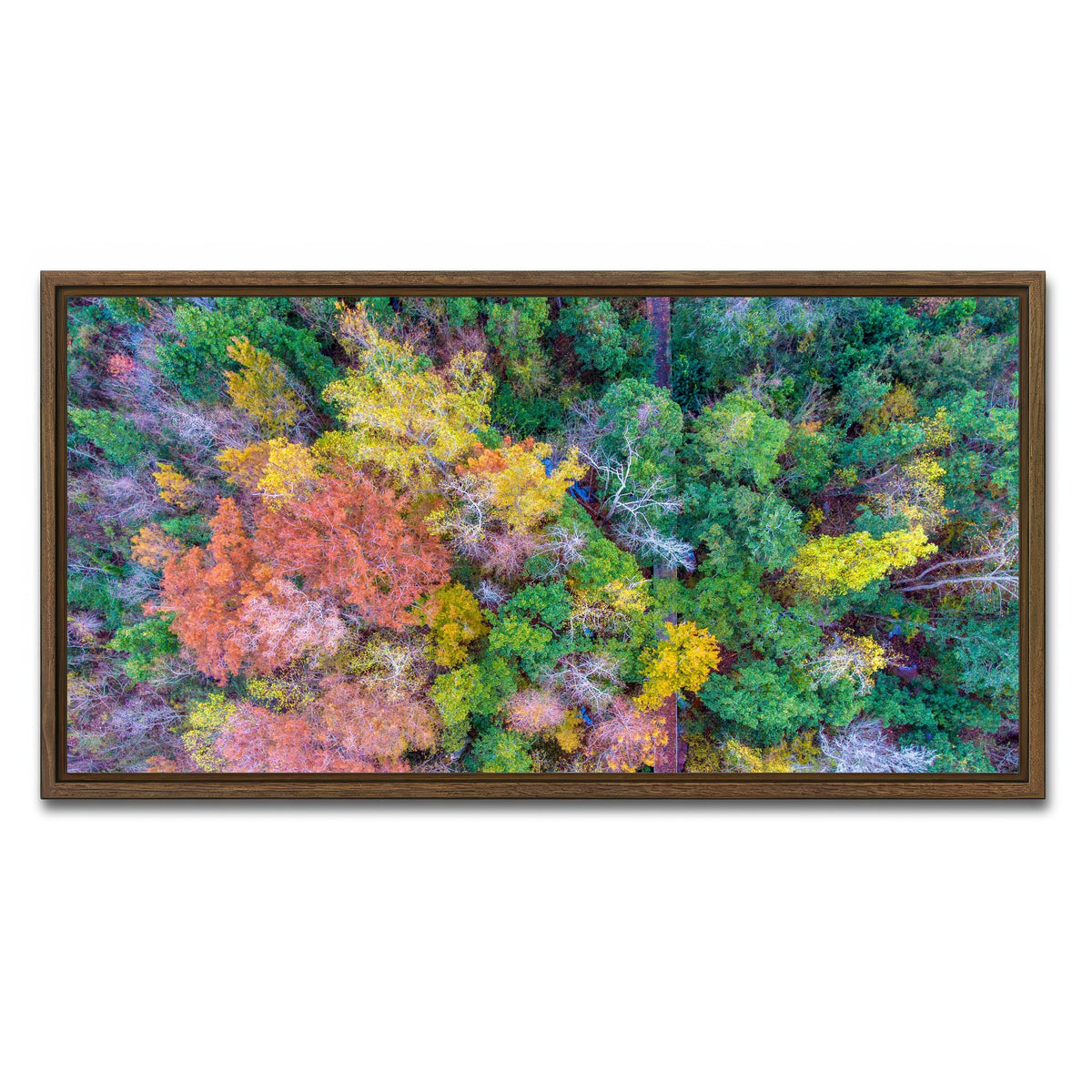 AUTO-MOCKUP WHITE | Bayfront Park nature boardwalk from above | 1 Piece | Walnut Framed Canvas | group=2x1