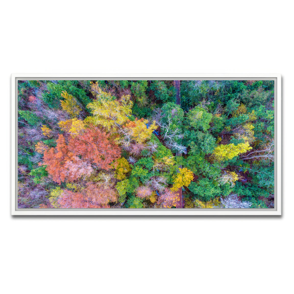 AUTO-MOCKUP WHITE | Bayfront Park nature boardwalk from above | 1 Piece | White Framed Canvas | group=2x1