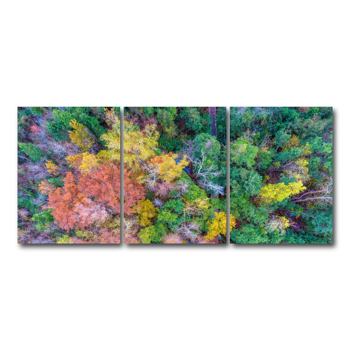 AUTO-MOCKUP WHITE | Bayfront Park nature boardwalk from above | 3 Piece | Gallery Wrap Canvas | group=18x24