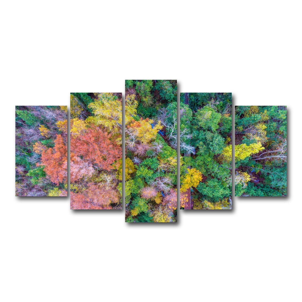 AUTO-MOCKUP WHITE | Bayfront Park nature boardwalk from above | 5 Piece | Gallery Wrap Canvas | group=5_normal