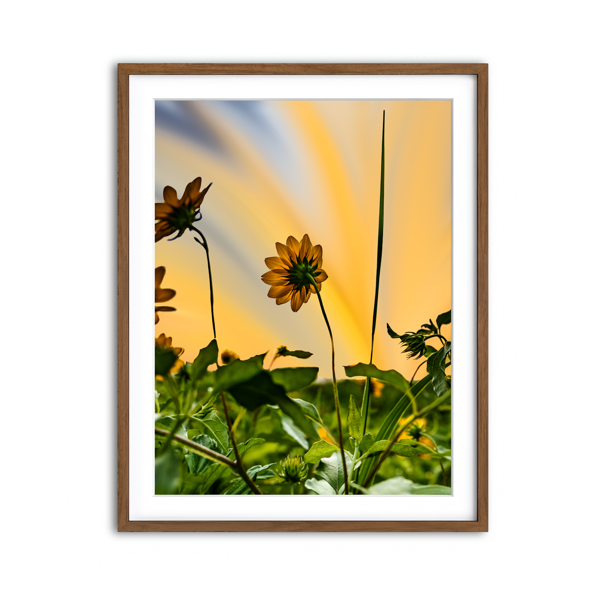 Framed Print 3x4 Walnut