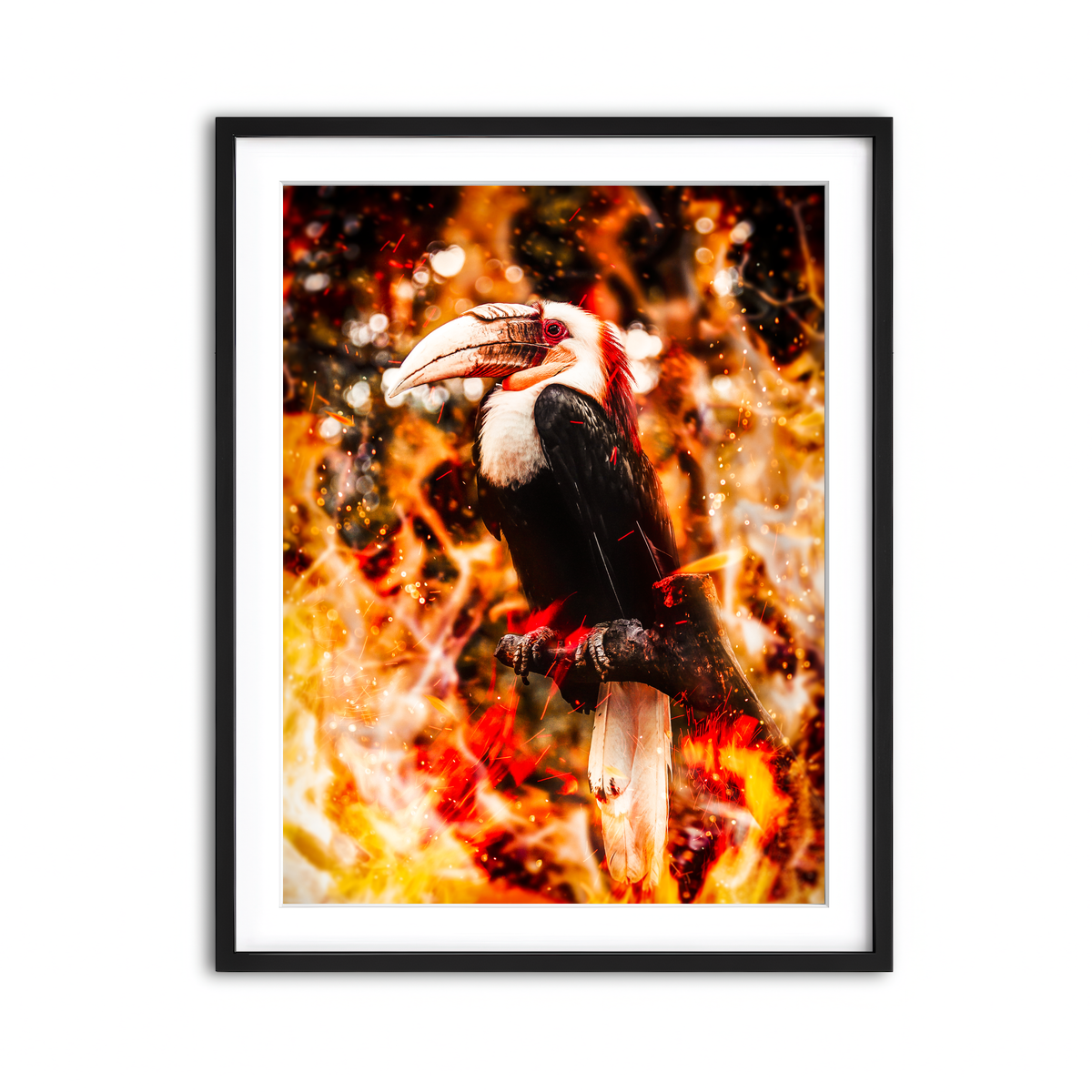 Framed Print 3x4 Black