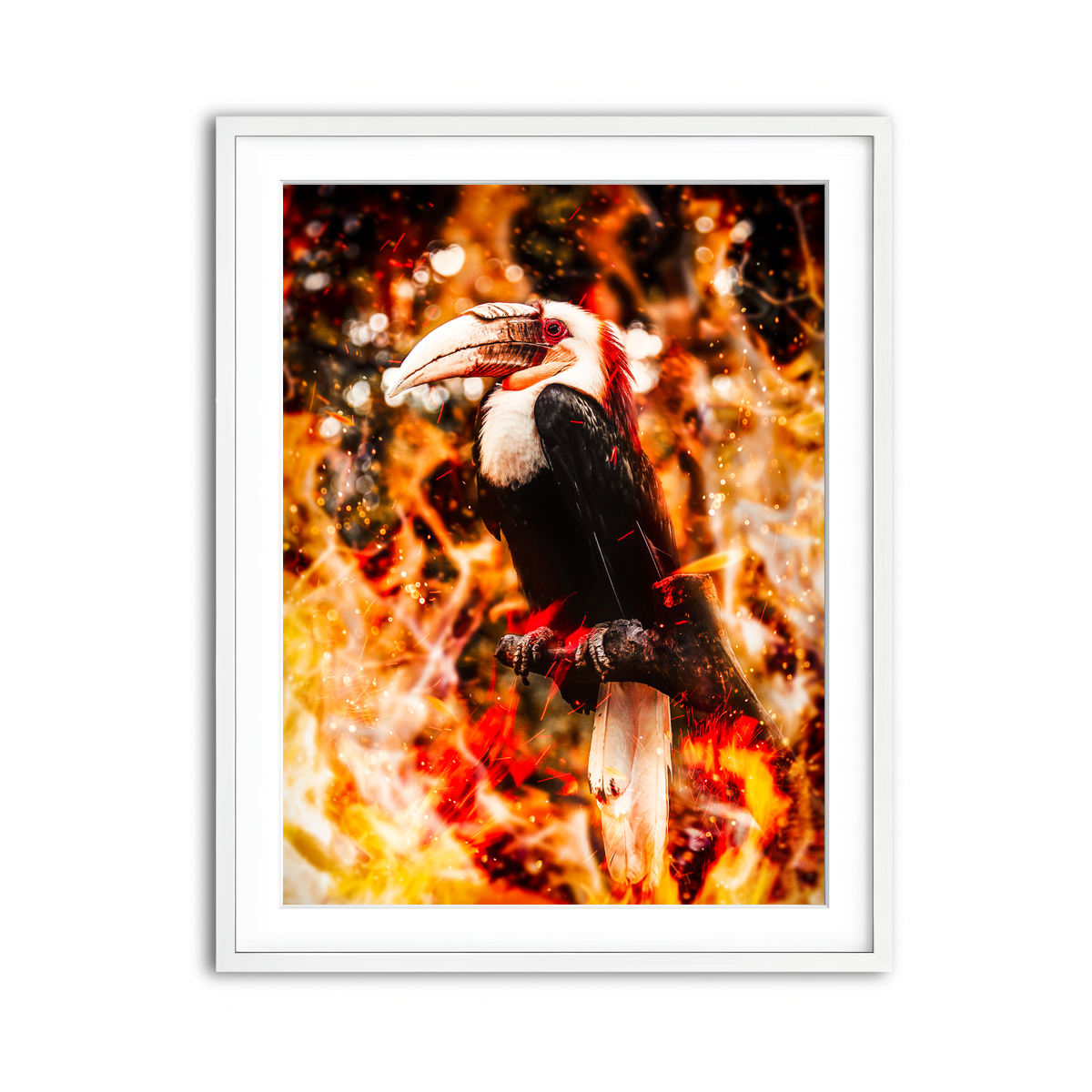 Framed Print 3x4 White