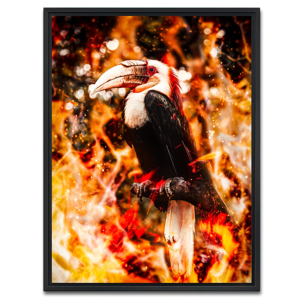 AUTO-MOCKUP WHITE | Beaked Wildlife | 1 Piece | Black Framed Canvas | group=3x4