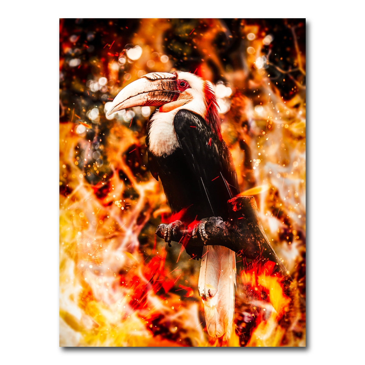 AUTO-MOCKUP WHITE | Beaked Wildlife | 1 Piece | Gallery Wrap Canvas | group=3x4