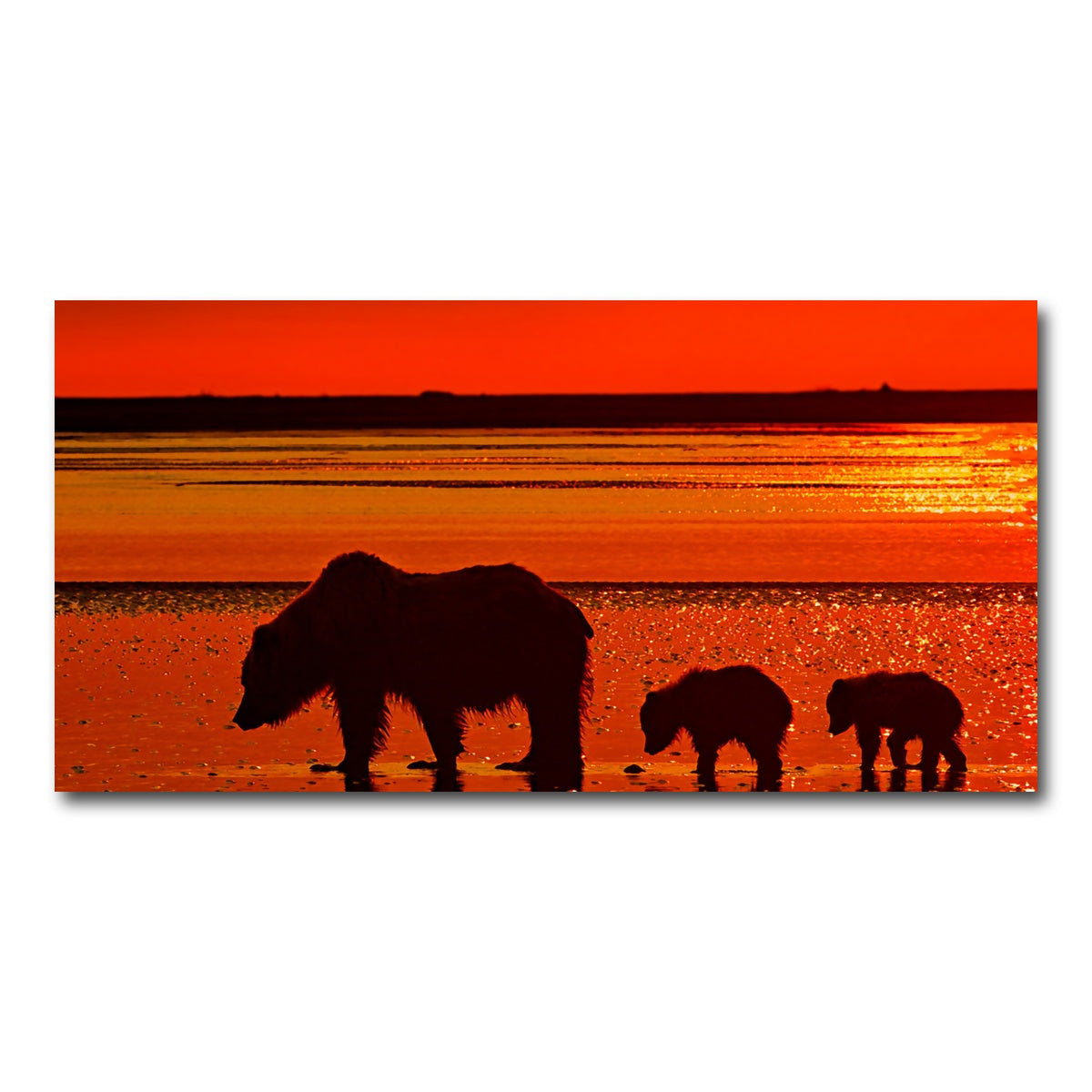 AUTO-MOCKUP WHITE | Bear & Her Cubs Wall Art | 1 Piece | Gallery Wrapped | group=2x1