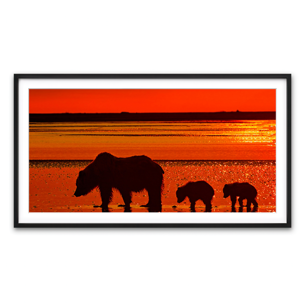 Framed Print 2x1 Black