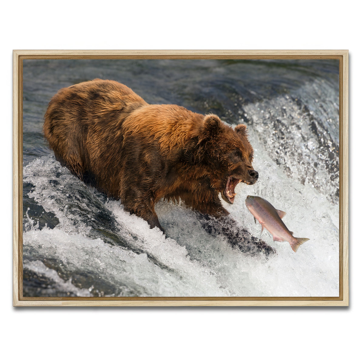 AUTO-MOCKUP WHITE | Bear catching Salmon | 1 Piece | Natural Framed Canvas | group=4x3