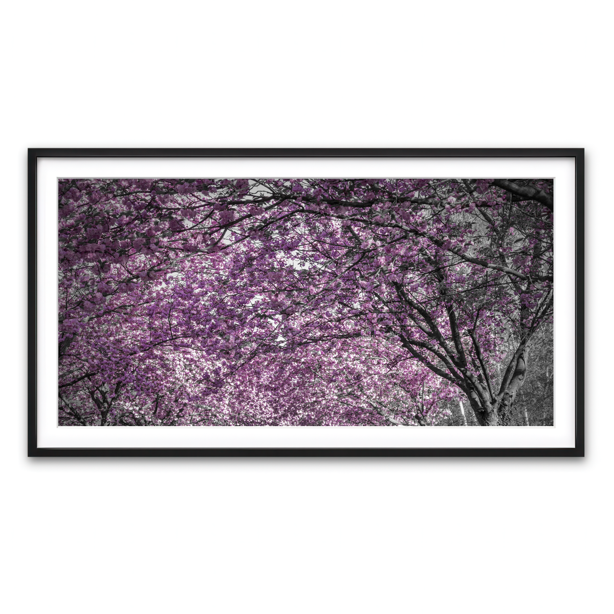 Framed Print 2x1 Black