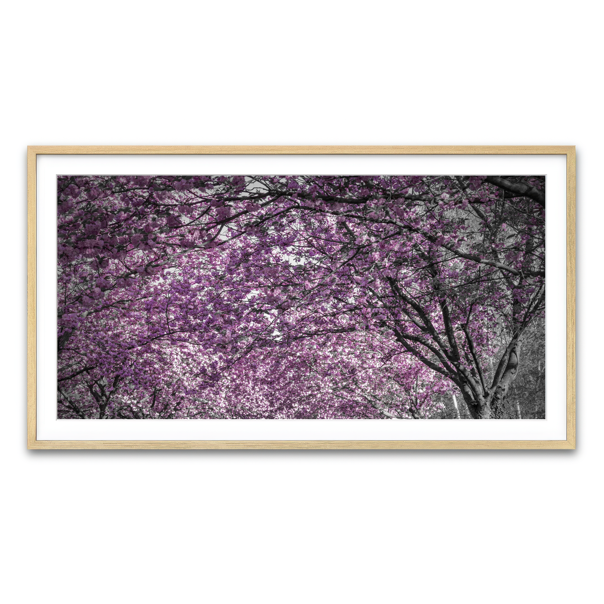 Framed Print 2x1 Natural