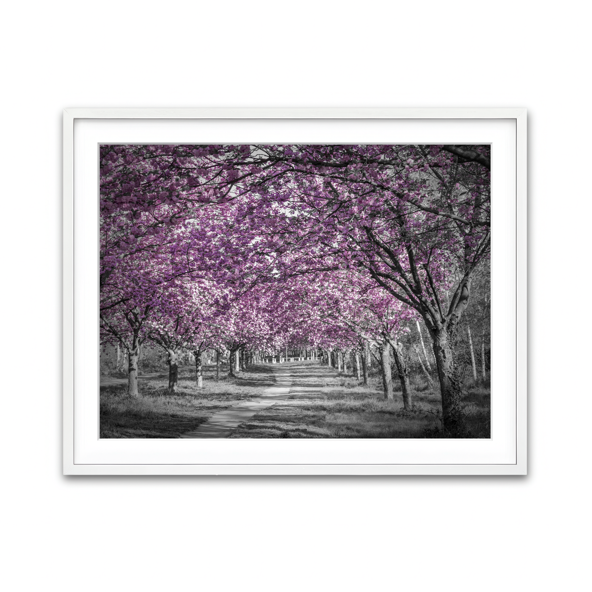 Framed Print 4x3 White