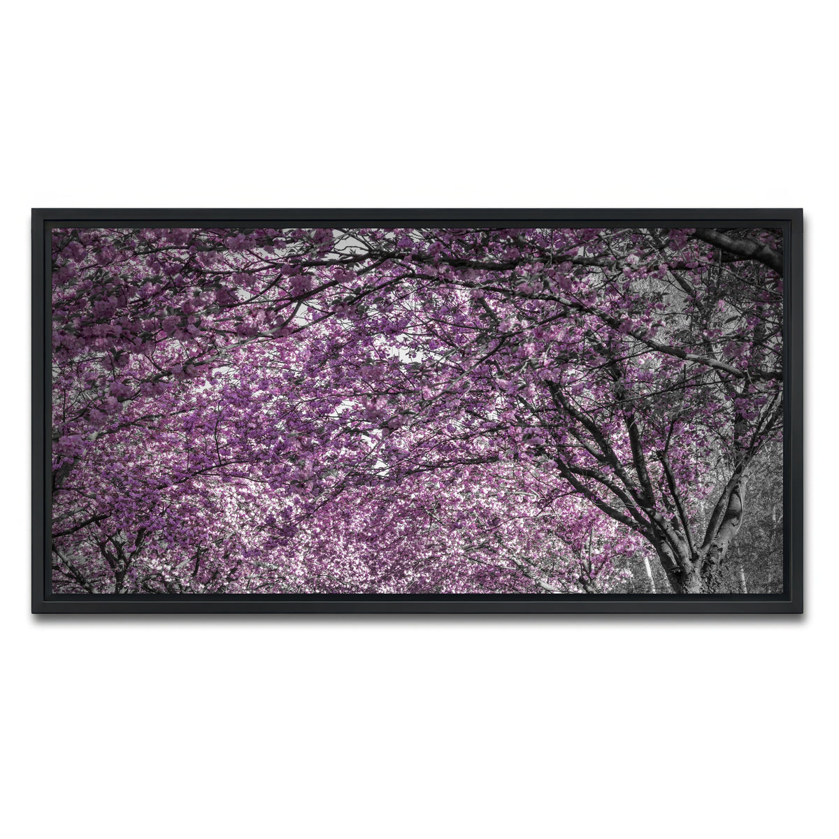 AUTO-MOCKUP WHITE | Beautiful cherry blossom alley in pink | 1 Piece | Black Framed Canvas | group=2x1