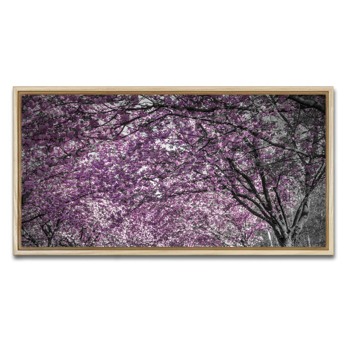 AUTO-MOCKUP WHITE | Beautiful cherry blossom alley in pink | 1 Piece | Natural Framed Canvas | group=2x1