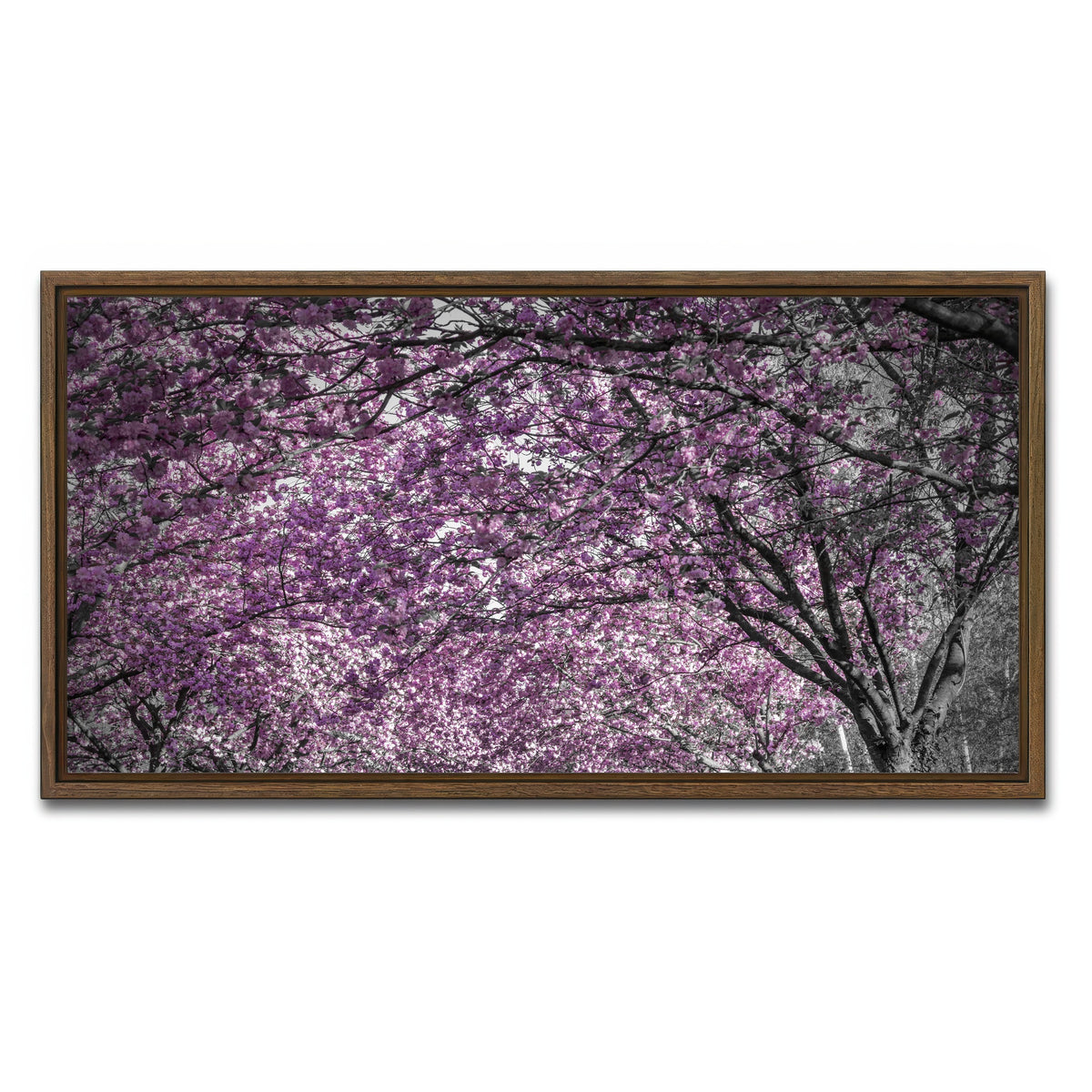 AUTO-MOCKUP WHITE | Beautiful cherry blossom alley in pink | 1 Piece | Walnut Framed Canvas | group=2x1