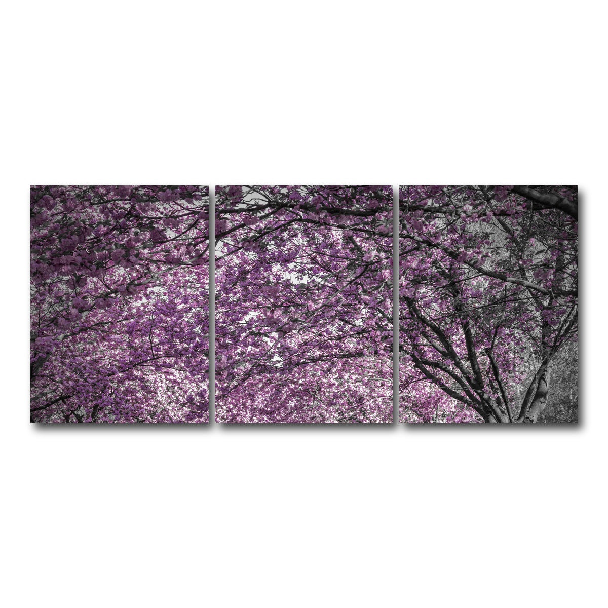 AUTO-MOCKUP WHITE | Beautiful cherry blossom alley in pink | 3 Piece | Gallery Wrap Canvas | group=18x24