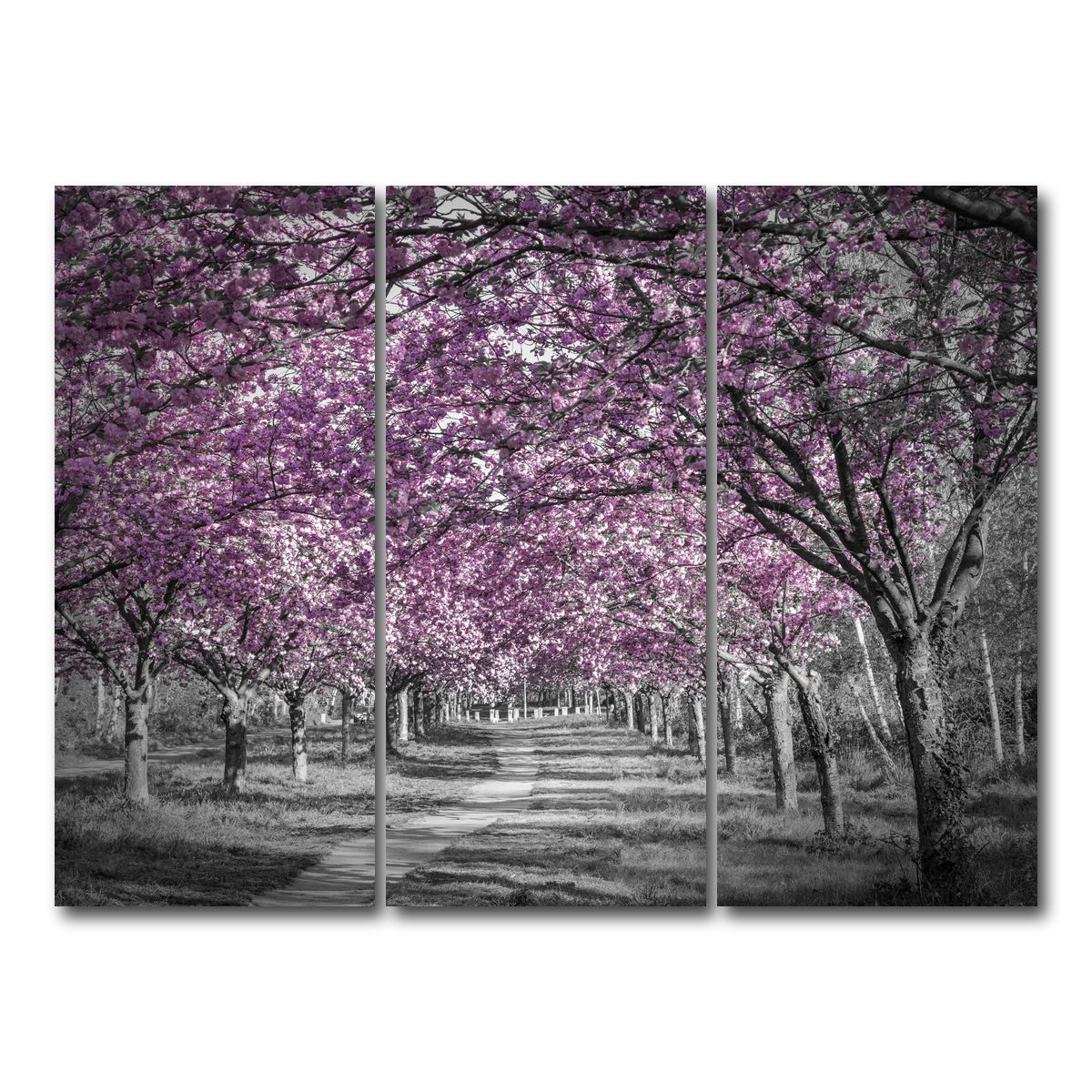 AUTO-MOCKUP WHITE | Beautiful cherry blossom alley in pink | 3 Piece | Gallery Wrap Canvas | group=8x18