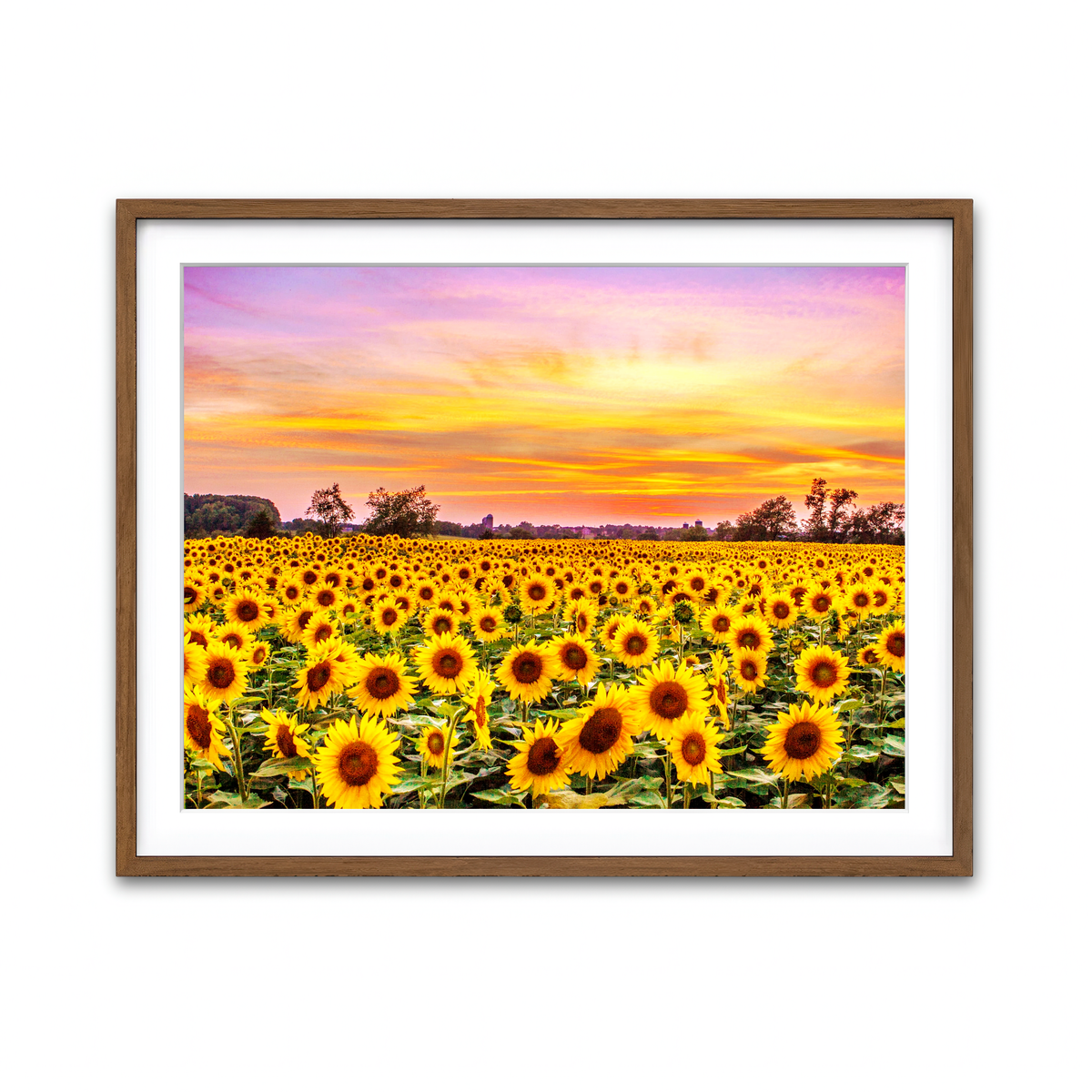 Framed Print 4x3 Walnut